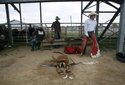 2010 High School Rodeo 