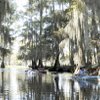 Swamp Paddling With ’Gators