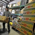  Pedro Valle unloads a pallet Thursday at the Northwest Arkansas Food Bank in Fayetteville. The orga...