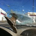 A five-pound plowable pavement marker is wedged in the windshield of Celestine Eichler’s car after t...