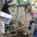 Courtney Williamson, 16, right, with Bentonville High School’s Habitat for Humanity Club, helps Jon ...