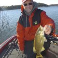 Keith Brashers of Rogers used spinner baits and jigs to tally a nice catch of largemouth bass from t...
