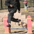  Chris Cage leads the way in teaching his dog Hennesy to jump Friday at the Bark Park on North Walto...