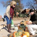 PICK OF THE PATCH Shea Weidner, left, and her dog, Calvin, receive help Saturday from David Dickey o...
