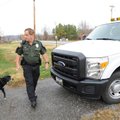 Russ Ray, animal control officer with the Springdale Police Department, returns to his pickup Wednes...