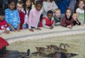 Peabody’s Storybook Holidays