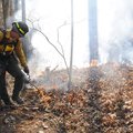 Nature Conservancy worker Eddie Silcott uses a mixture of diesel fuel and gasoline Tuesday to ignite...