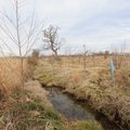 The Watershed Research and Education Center at the University of Arkansas Agricultural Research and ...