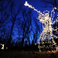 Lighted angels stand in a wooded valley near the Brookhaven subdivision on Old Wire Road in Fayettev...