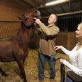 SANCTUARY TAKES REINS Wayne and LeAnn Box, owners of Eagle’s Nest Draft Rehab and Sanctuary in Fayet...