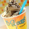 YEAR’S END Fro Yo Yo-Yo