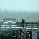 fishing-pier-at-cane-creek-state-park