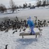 Springdale Residents Deal With Snow