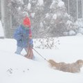 Margaret Salassi of Fayetteville and her dog, Shy Barcelona, prepare to venture outside in the deep ...