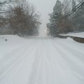 Residents in Northwest Arkansas woke to several inches of snow that fell in the early morning hours ...