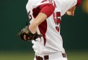 Hogs 005.JPG