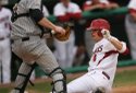 Hogs FOCUS 009