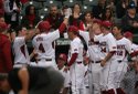 Hogs FOCUS 010