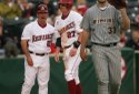 Hogs FOCUS 017