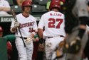 Hogs FOCUS 018