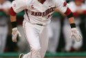 Hogs FOCUS 019