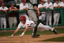 Hogs FOCUS 020