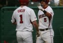 Hogs FOCUS 021