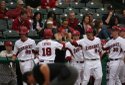 Hogs FOCUS 024