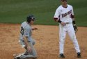Hogs FOCUS 039