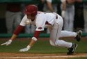 Hogs FOCUS 047