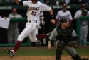 Hogs FOCUS 048