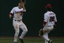 Hogs FOCUS 051