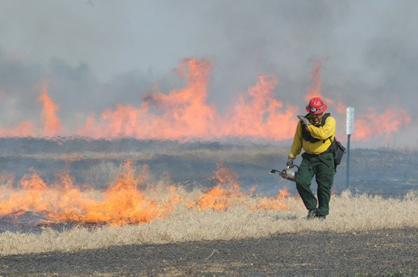 CONTROLLED BURN Scott Kopepassah with ...