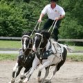 “Equine extremist” Tommie Turvey