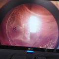 Nanoparticles are produced and harvested Monday in a reactor at Nanomech. Copper wire is fed into th...