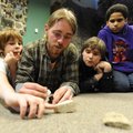Seal prepares to apply diluted acid to two stones as Holt Middle School students Eric Blevins, from ...