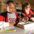 Sixth-graders Levani Damuni, left, and Justin Rollins search for aquatic creatures during the Creek ...