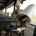 Sarah Merrifield of Prairie Creek dumps aluminum cans into their appropriate bin Thursday while drop...