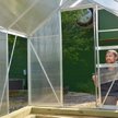 greenhouse nw daily_001
