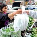 RAIN OR SHINE Plia Moua of Siloam Springs sells fresh produce Saturday to a customer during the firs...