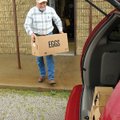 EGGS APLENTY Tex Holt helps transport about 3,000 hard-boiled hand-colored Easter eggs to cold stora...