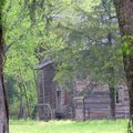 Tours of the Boxley Valley Mill along the Buffalo National River begin today. Twice a year the mill ...