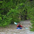 Spreading the word  — Aaron Jones with Buffalo River Canoes in Pruitt heads down the Buffalo River f...