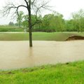A green on the Country Club Golf Course becomes an eroding island in floodwater in Bella Vista on Ap...