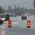 Vehicles drive through barricades put up by the Springdale Street Department Monday on Maple Avenue ...