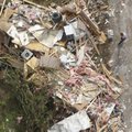 A woman looks at the rubble of a mobile home in Vilonia, Ark., Tuesday, April 26, 2011, after a torn...