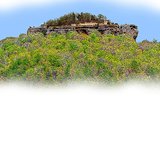 photo thumbnail