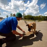 photo thumbnail
