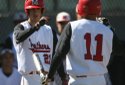 Baseball FOCUS 013