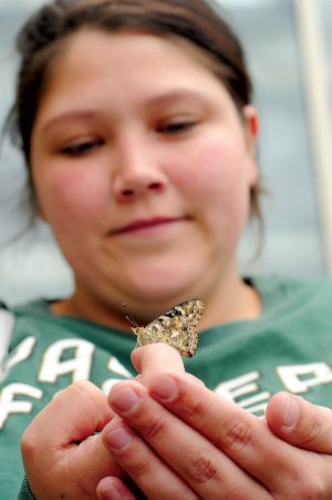 Patricia Howard holds a butterfly before releasing it in memory of a daughter she lost to miscarriage. The organization known as Share hosted the butterfly release as part of a spring remembrance service at Mercy Medical Center in Rogers.
